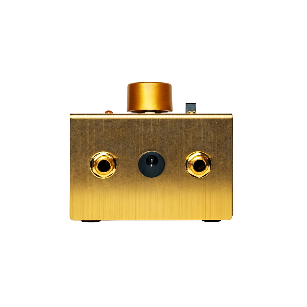 Golden Small Stone Limited Edition Hinteransicht