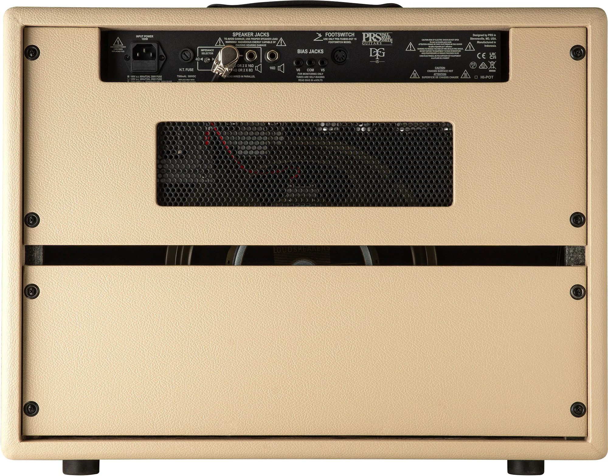 David Grissom DGT 15 Combo Amplifier