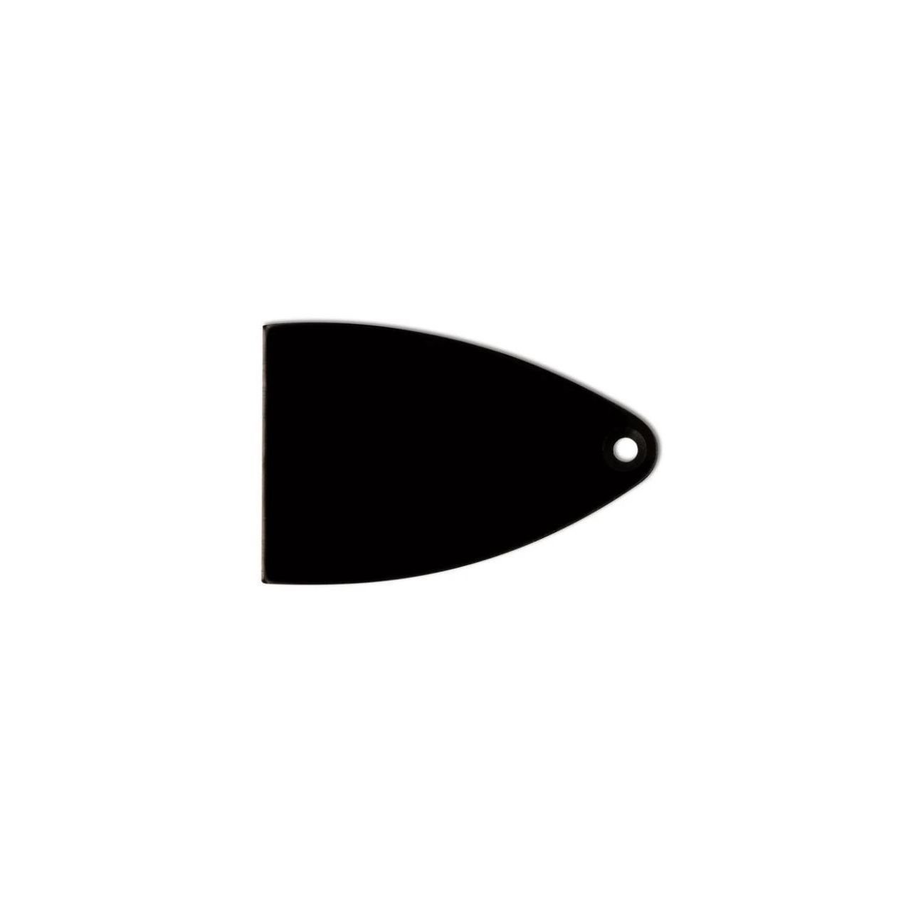 Truss Rod Cover