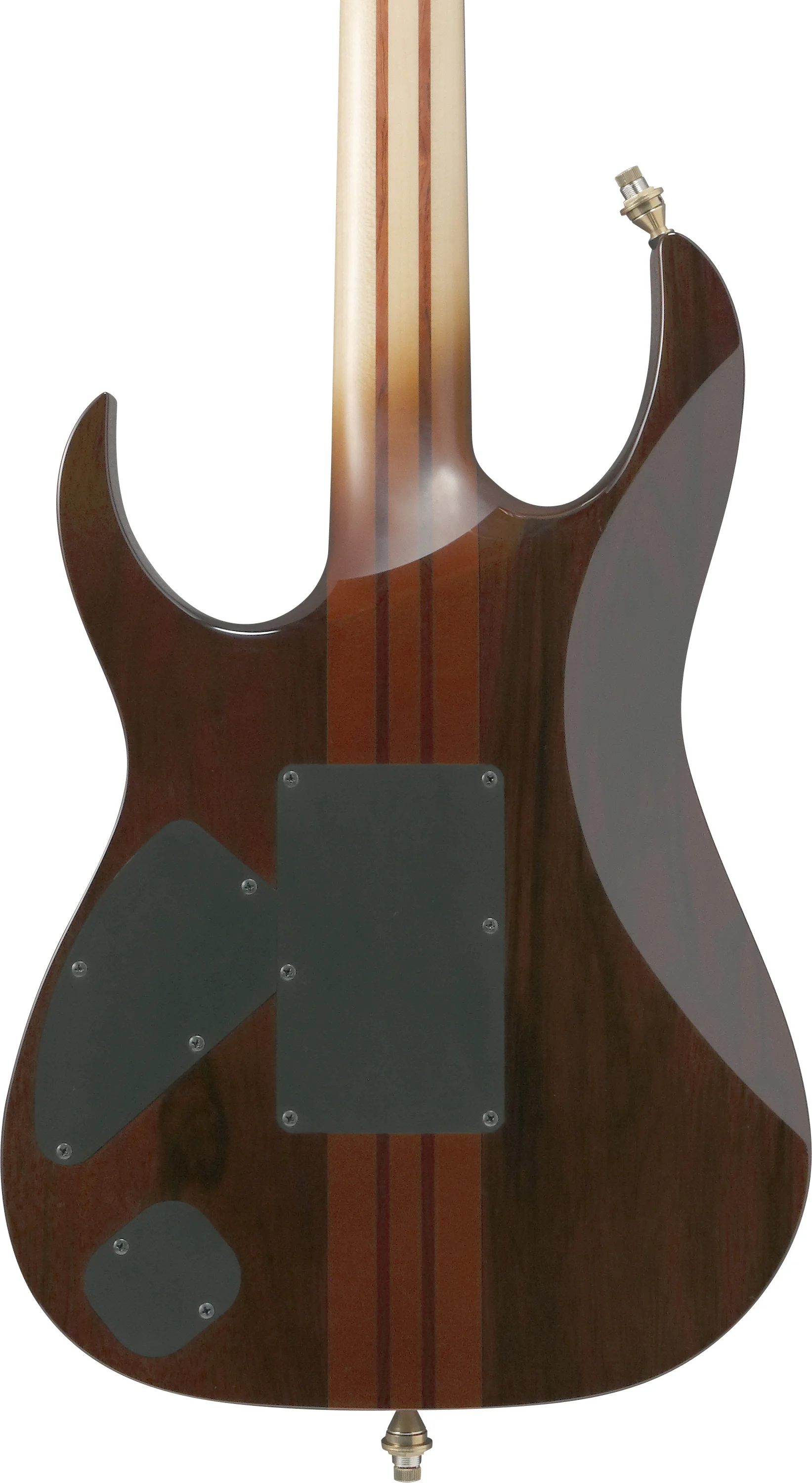IV1RG Visions RG