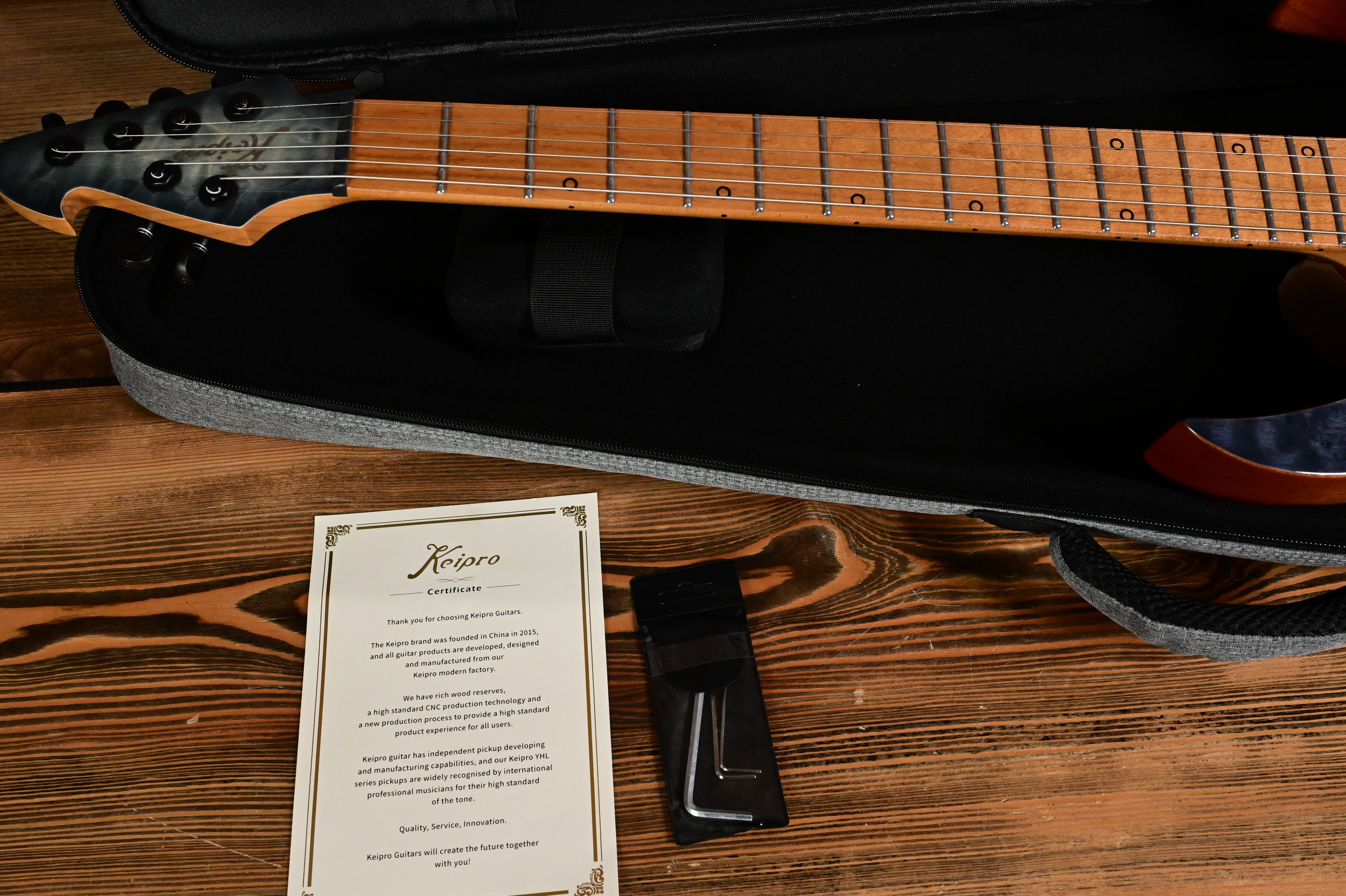 E-Gitarre, Ahornhals, Griffbrett mit Bünden, Gitarrenkoffer, schwarzer Korpus