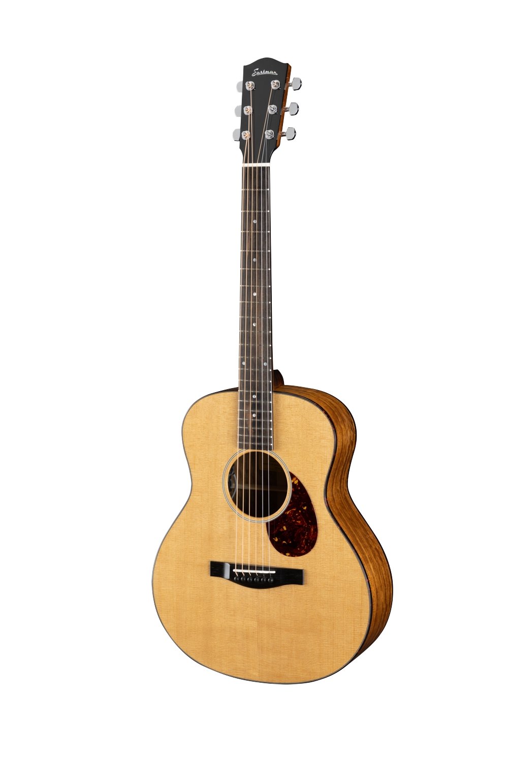 ACTG2E-DLX