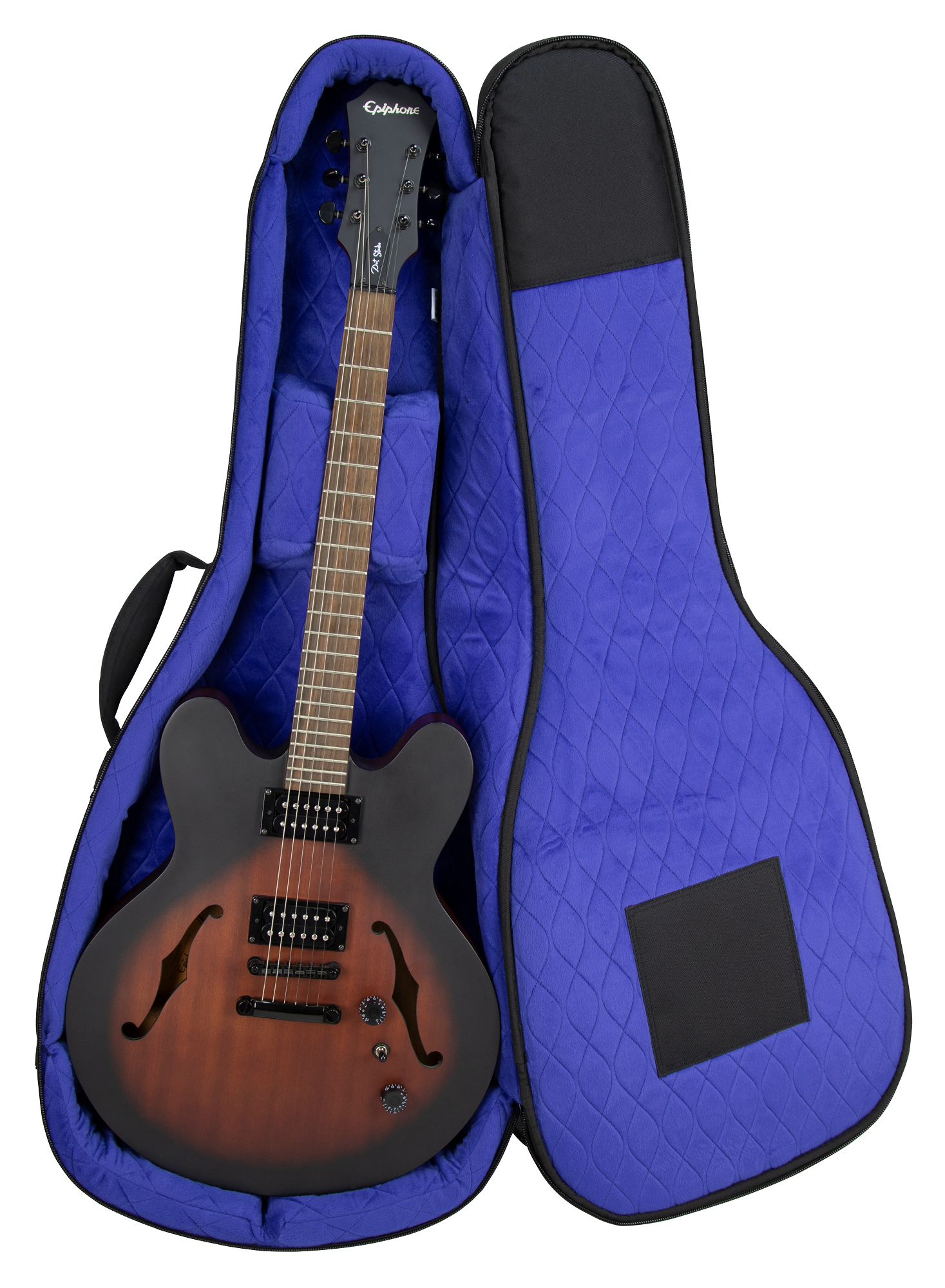 RBX-335 Hollow Body Guitar
