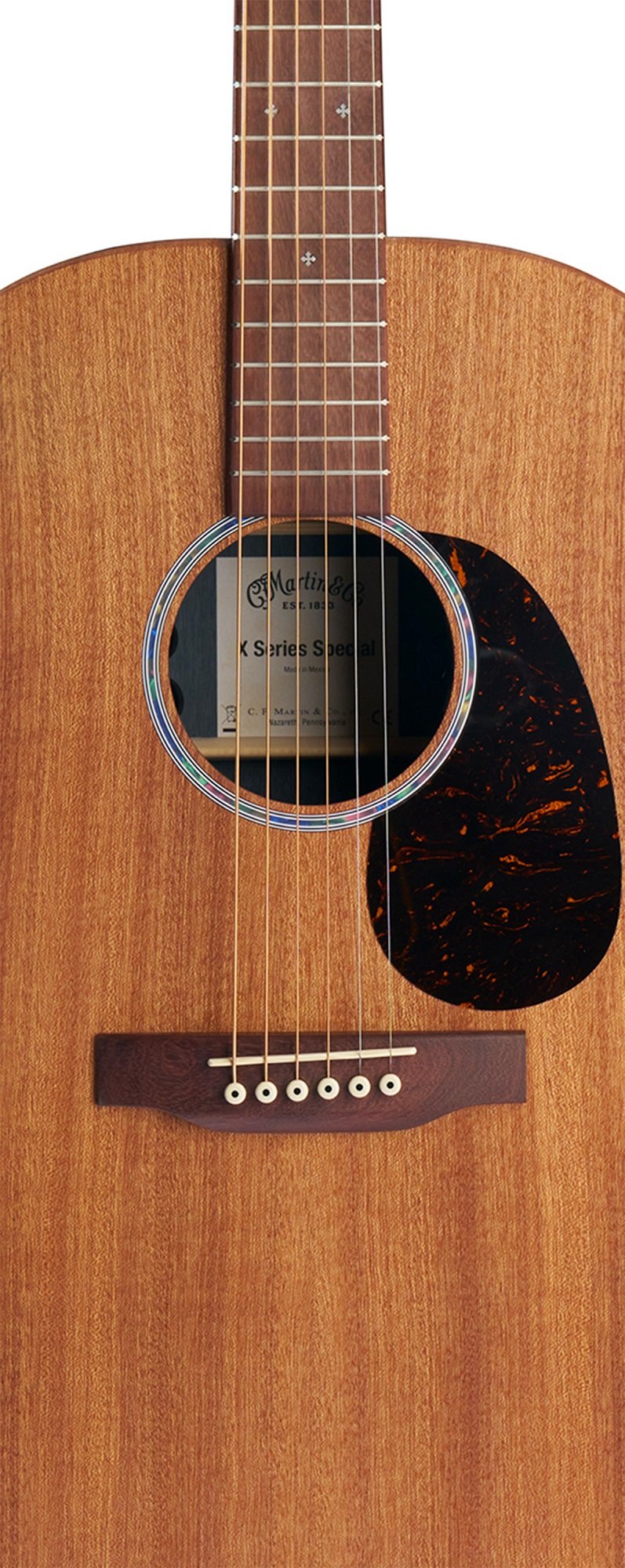  GP-X2E Ziricote Special