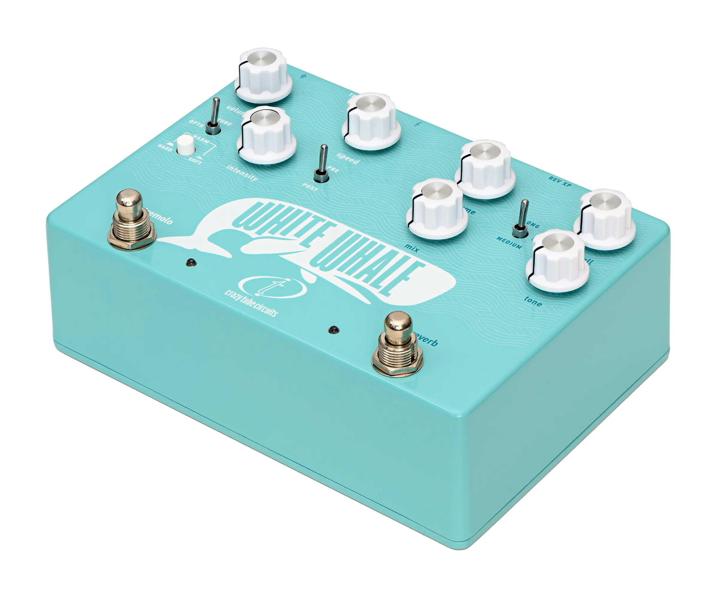 White Whale  V2