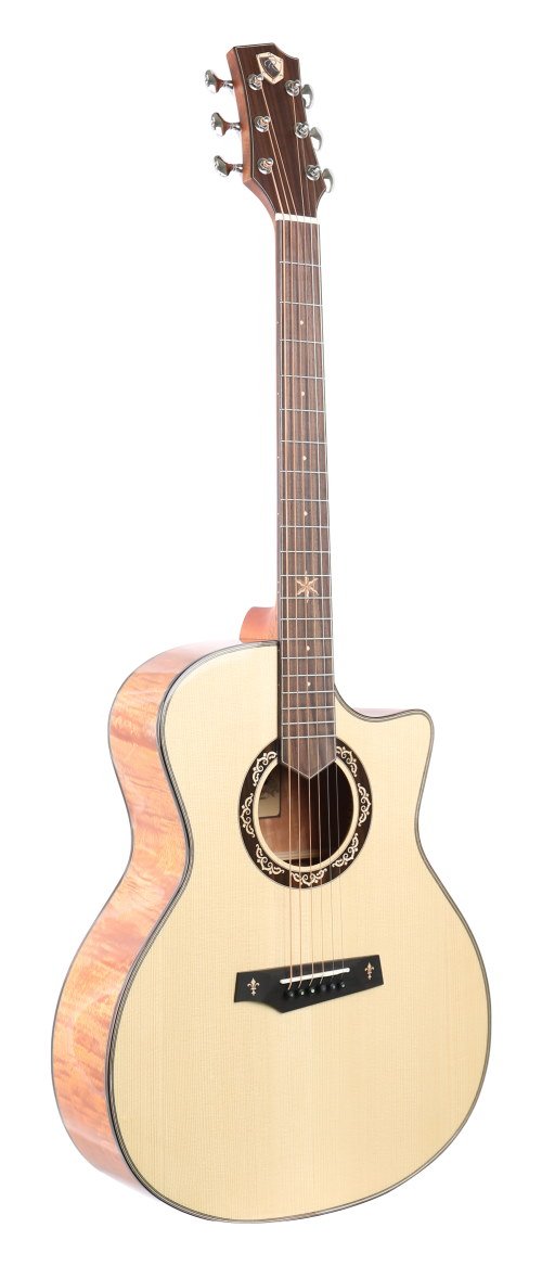  AS-GC+ Pro