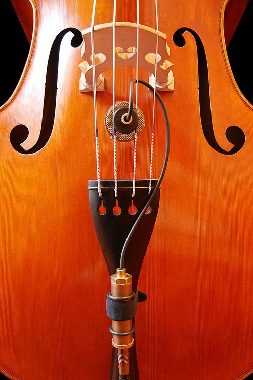 Nadine Kondensatormikrofon Kontrabass 