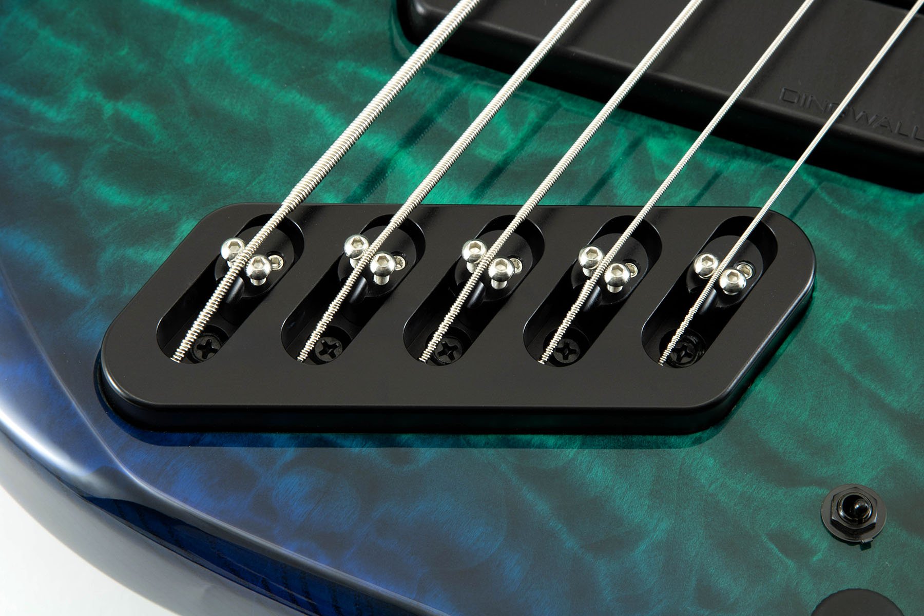 CB3 Combustion 5-String Whalepool Burst