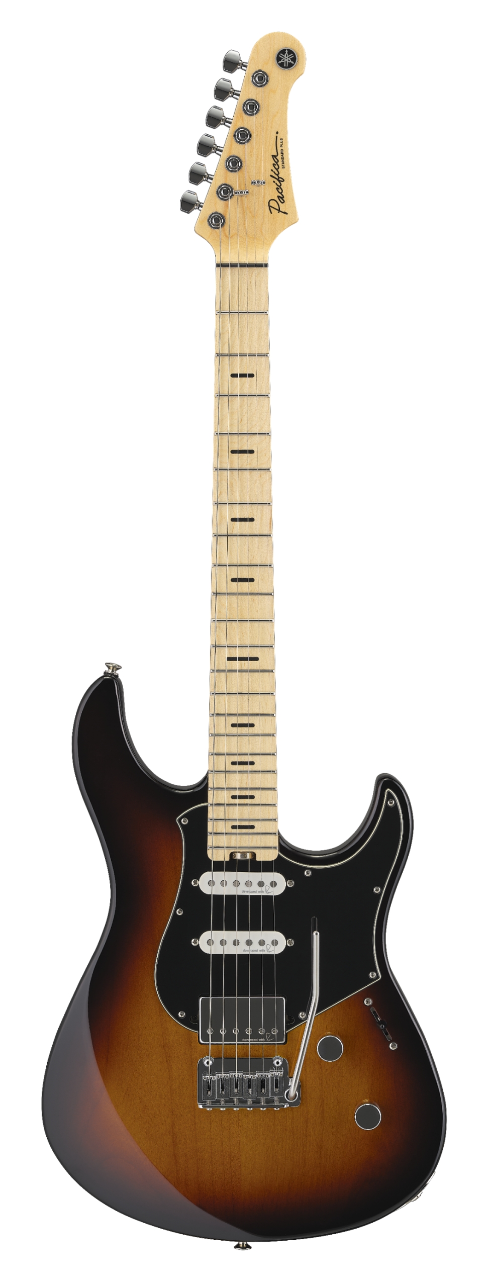 PACS+12M Tobacco Brown Sunburst 