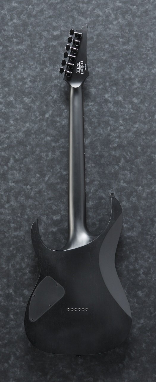 RGRT421-WK E-Gitarre