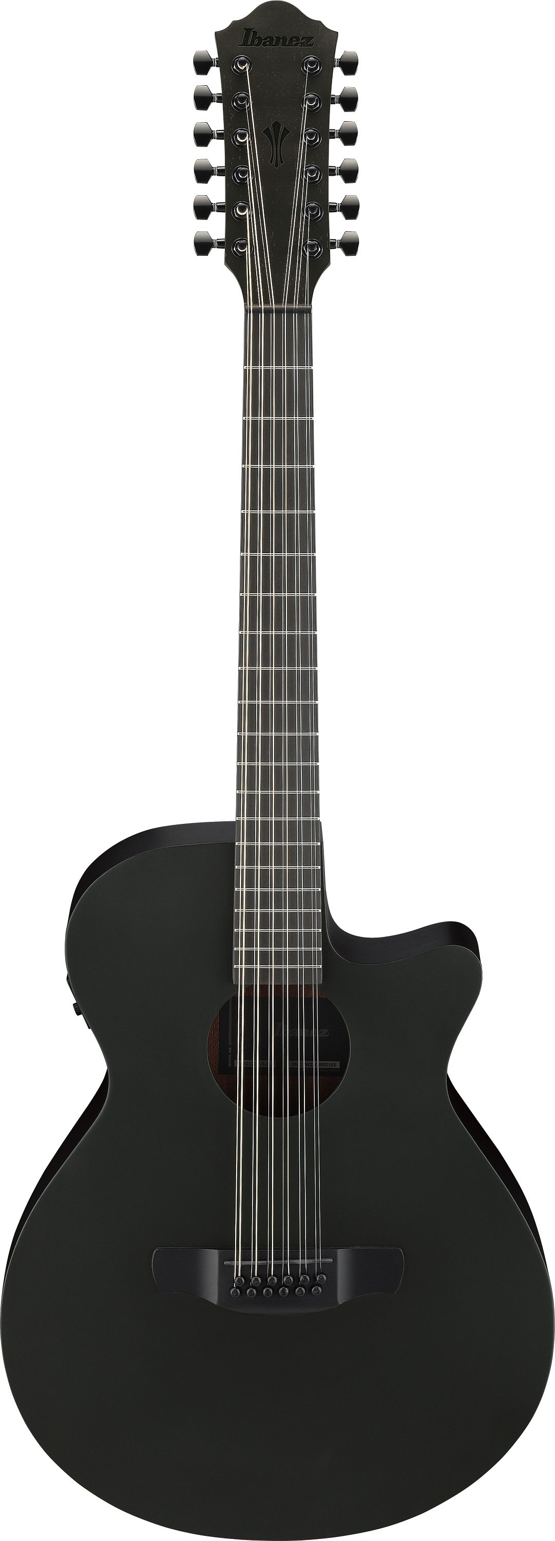 AEG1221-BOT 12-Saiter Westerngitarre