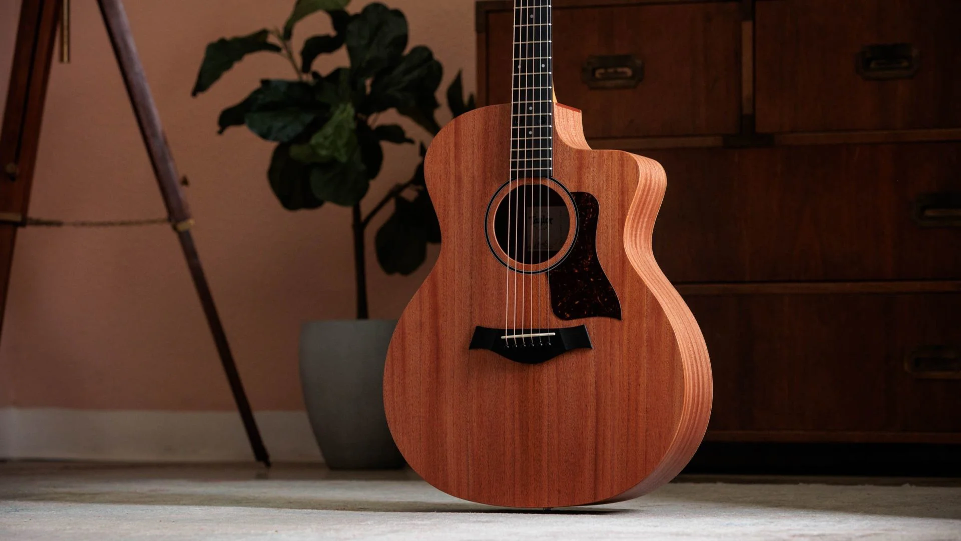 Taylor 24ce edle Westerngitarre