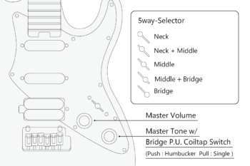 714 DG Fullerton Black - E-Gitarre