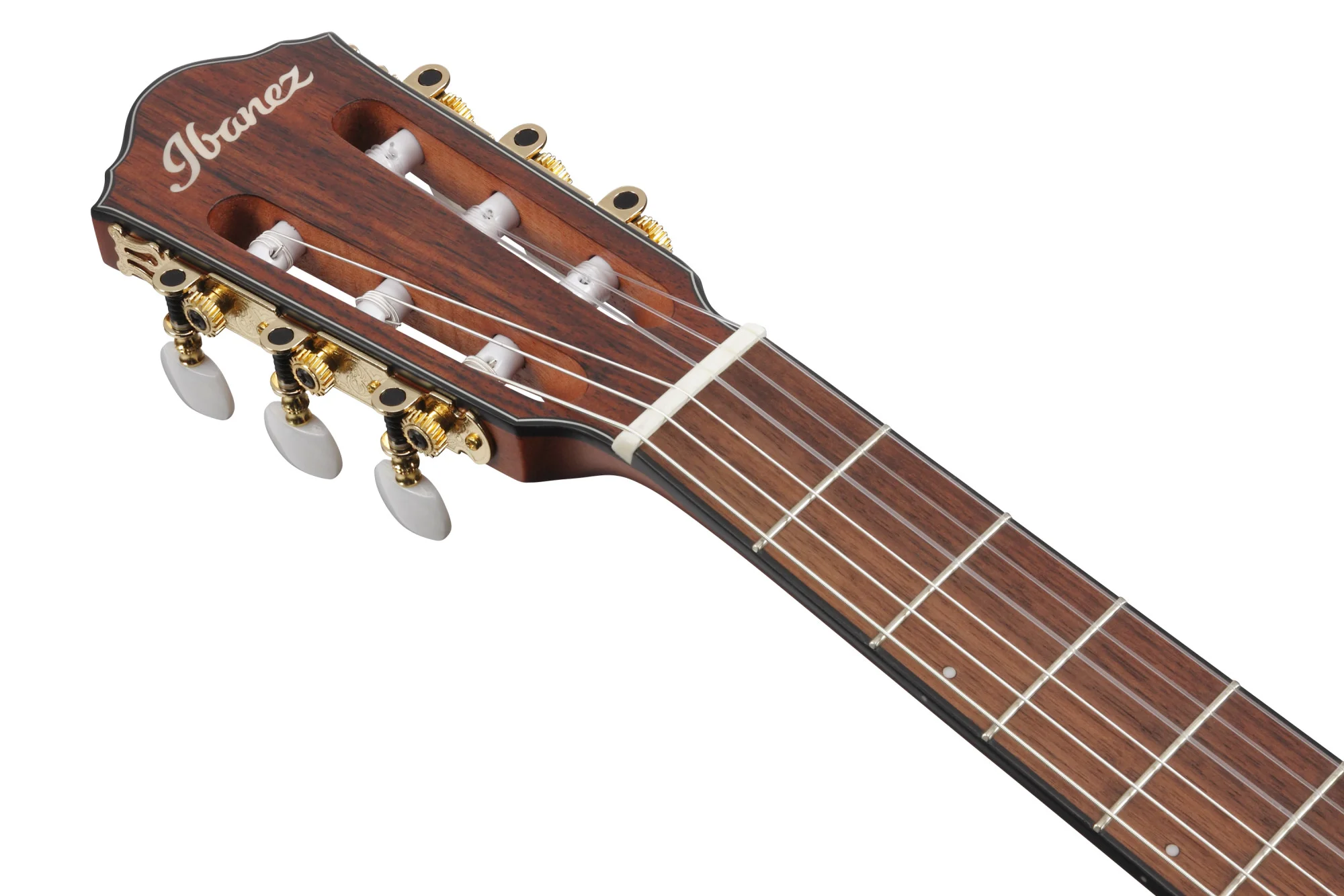 Ibanez FRH10N-RGF Kopfplatte in frontaler Ansicht