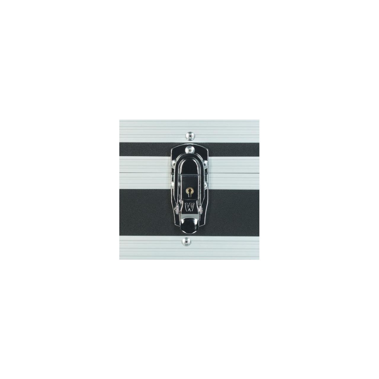 Flight Case Hollow Body Guitar Black