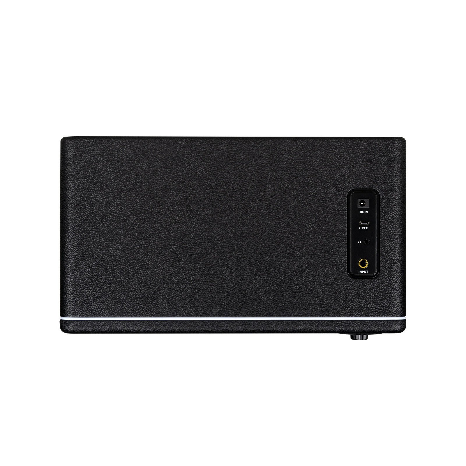 Hornet 30i 30 Watt Modeling Guitar Amplifier - Black