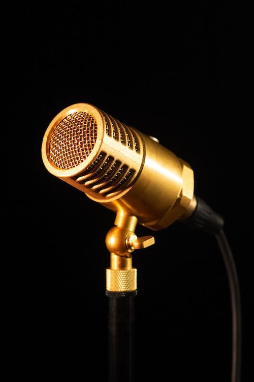EAR Trumpet Labs Wanda Kondensatormikrofon mit Vintage-Design und handgefertigtem Gehäuse