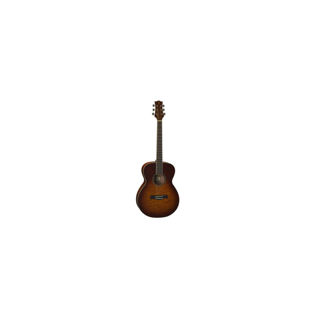 Curly Sue LTD 2010 Akustikgitarre