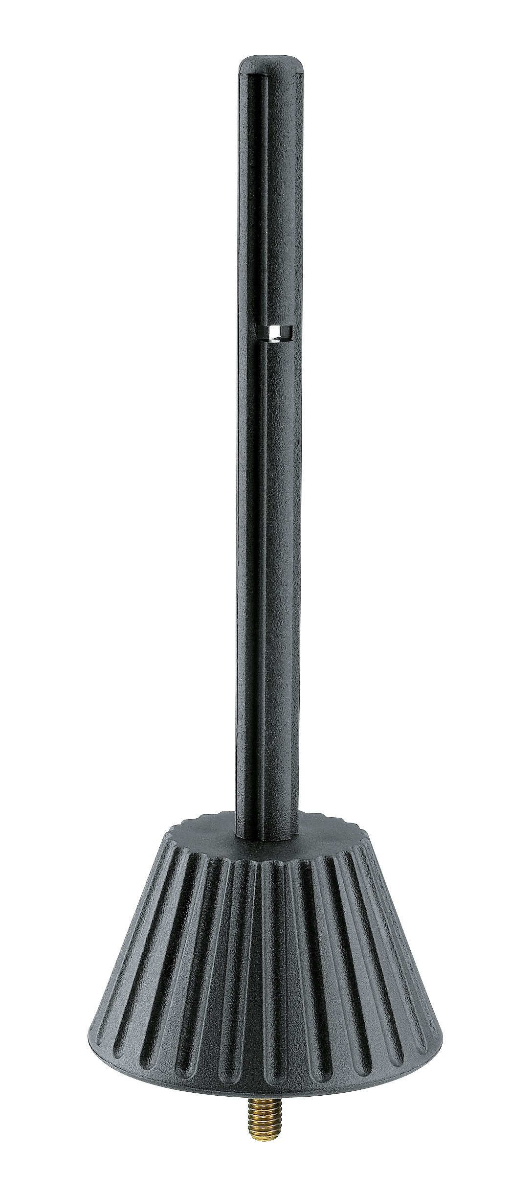 17786 Flötenkegel