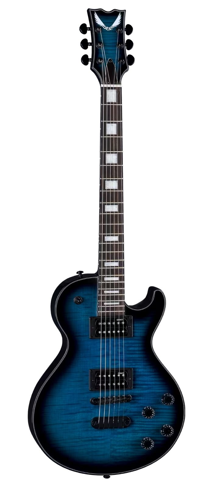 Thoroughbred John Connolly Trans Blueburst
