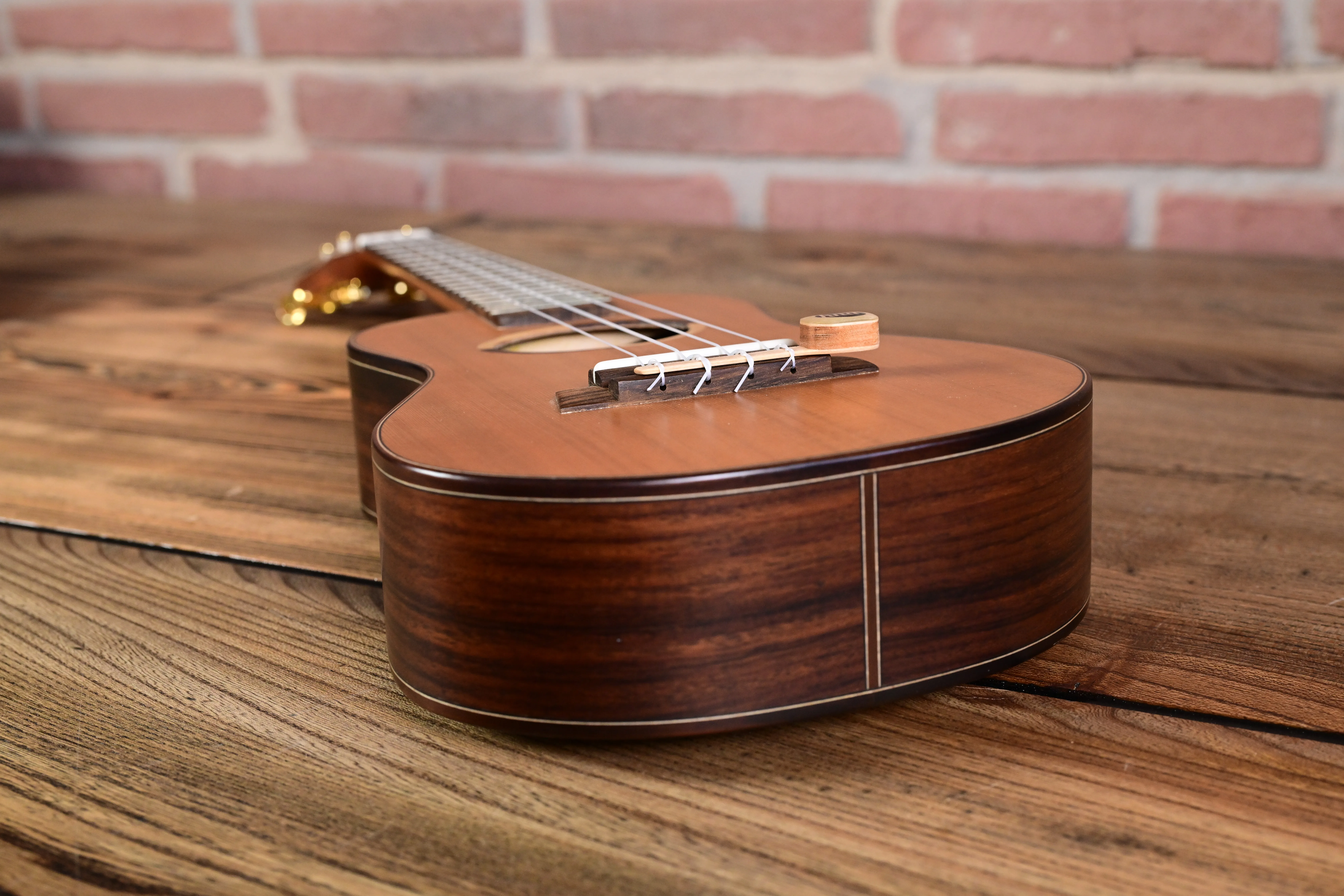 Coco Concert Ukulele
