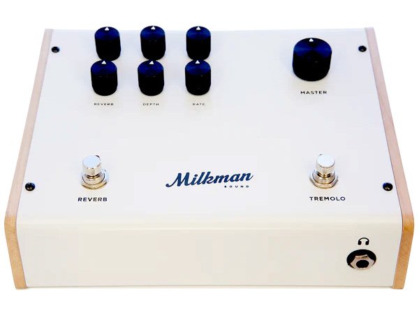 The Amp 50 Hybridverstaerker im Pedalformat