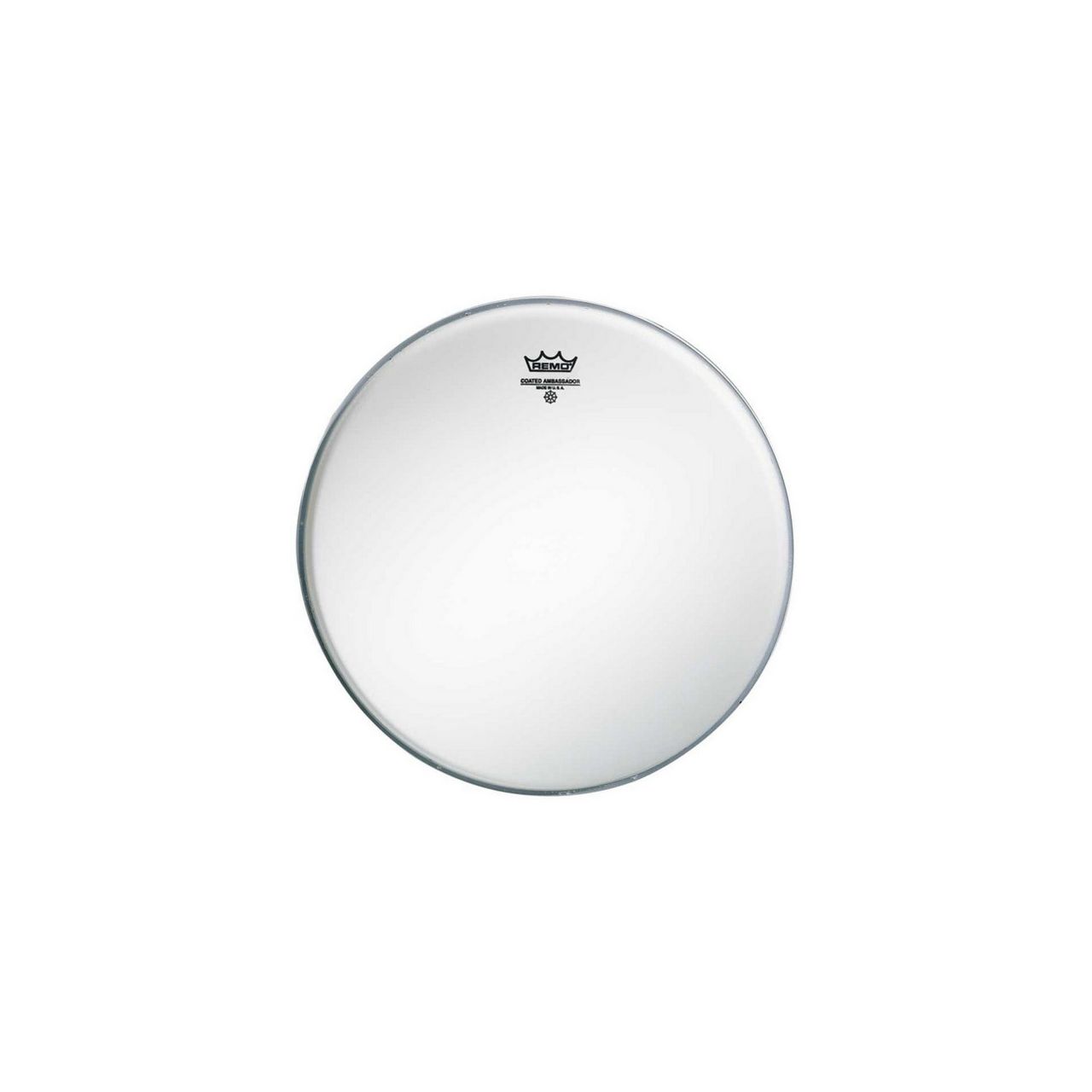 18" Ambassador Coated - Tom Fell