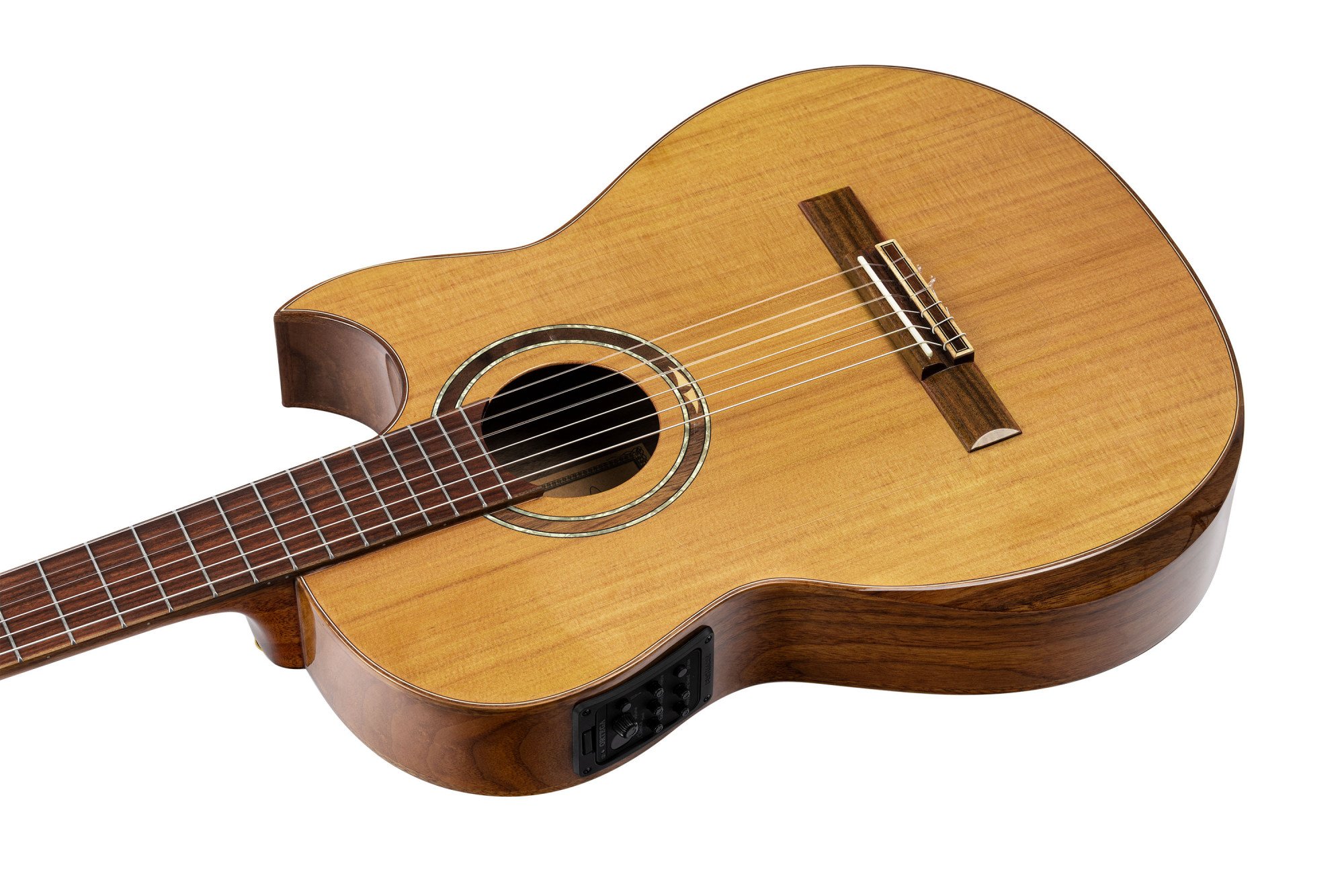 FLAMETAL-TWO Ben Woods Signature Gitarre inkl. Bag