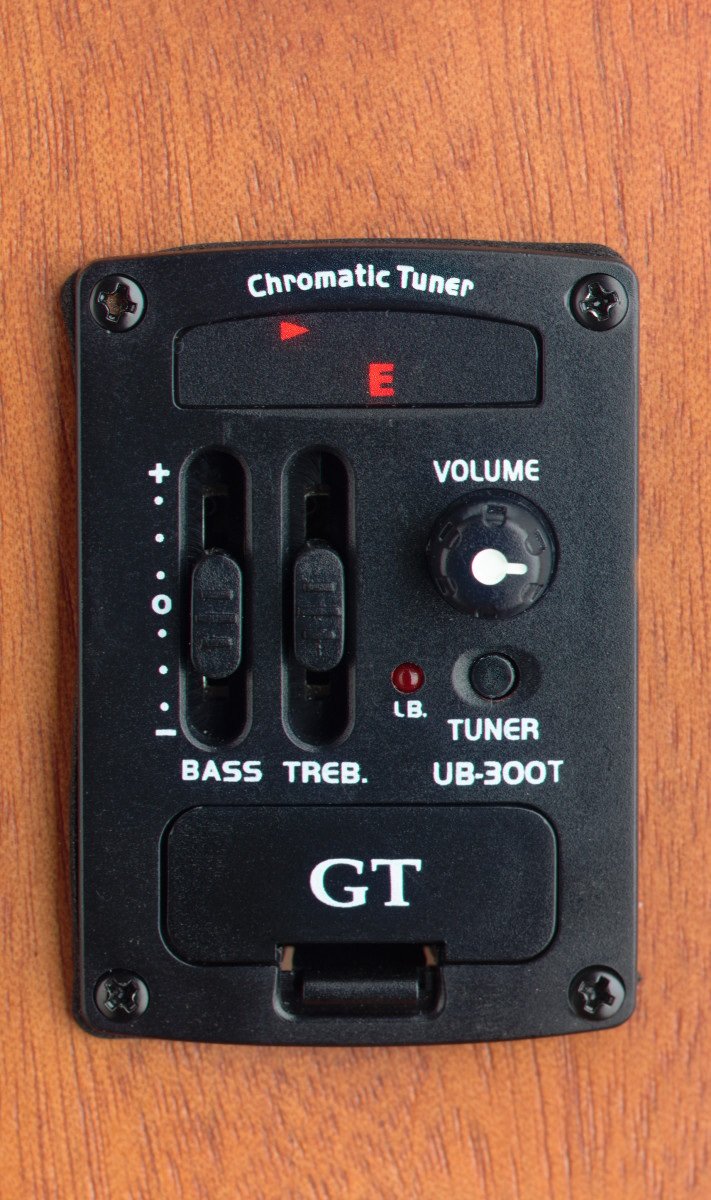 Micro-Bass 25