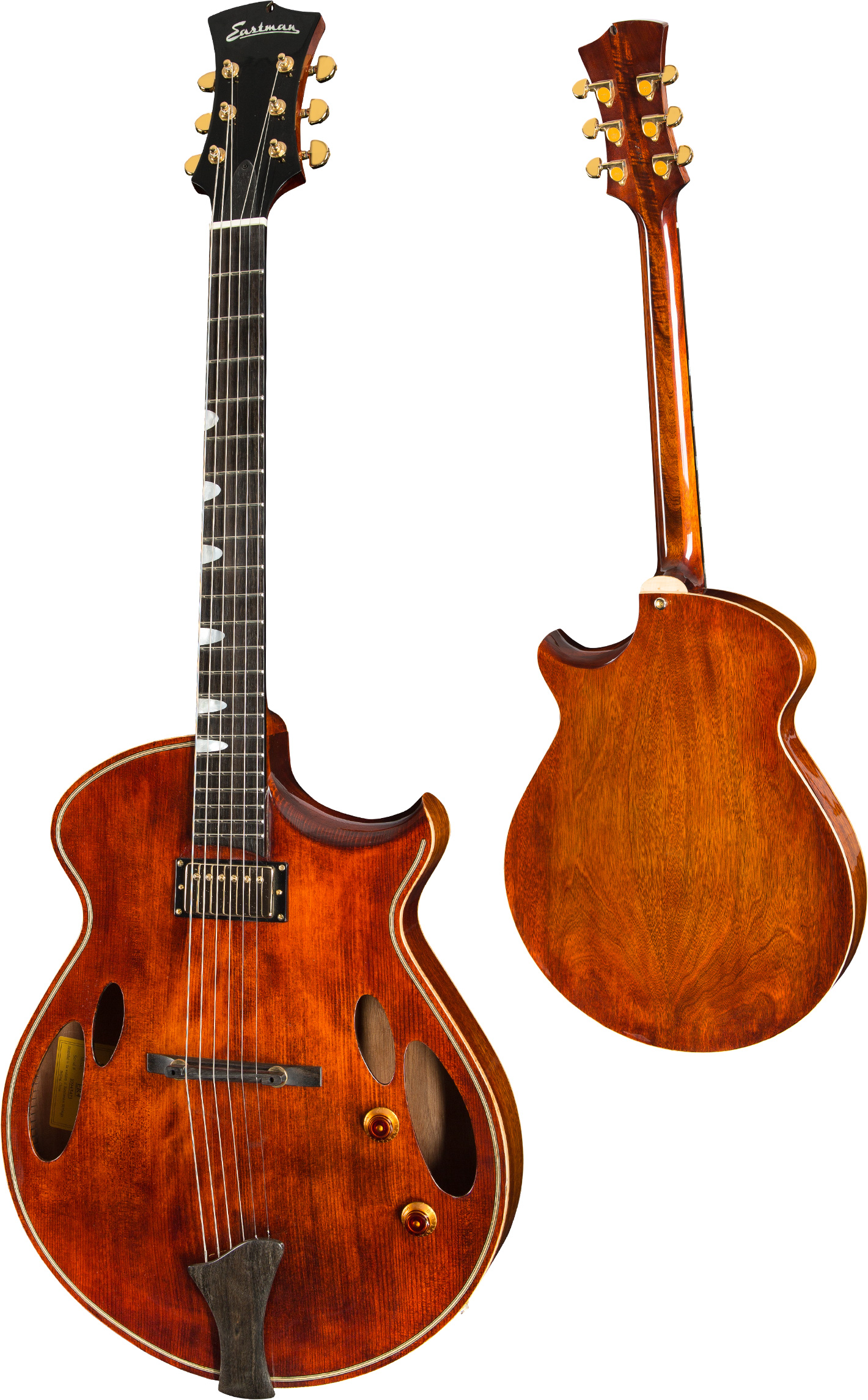 ER4 Classic Jazz-Gitarre