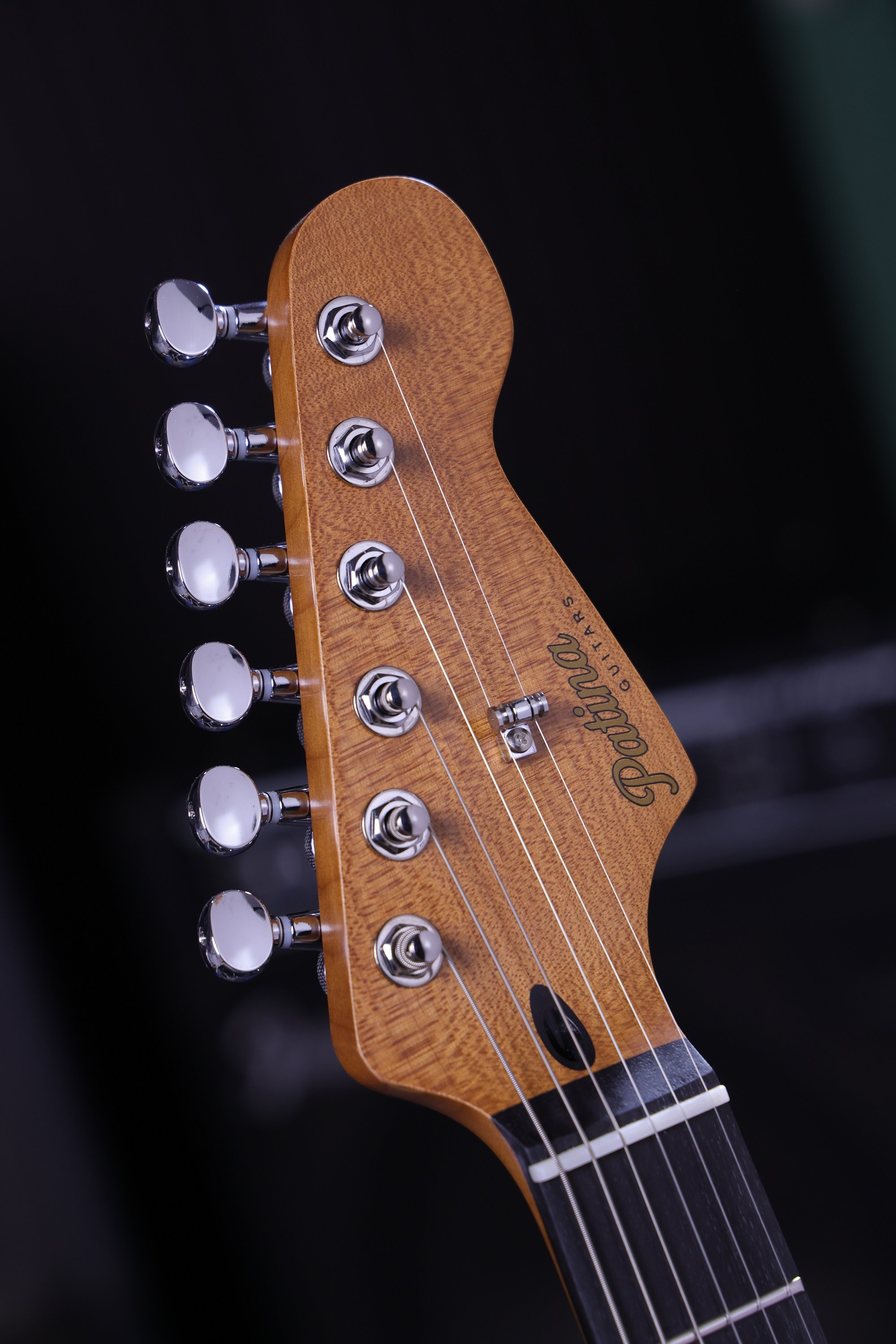 PS-4 SGR Sherwood Green E-Gitarre