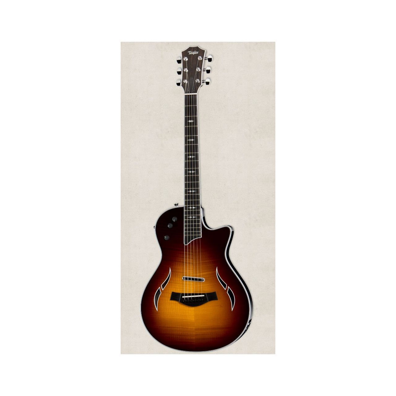 T5z Pro - Thinline E-Gitarre