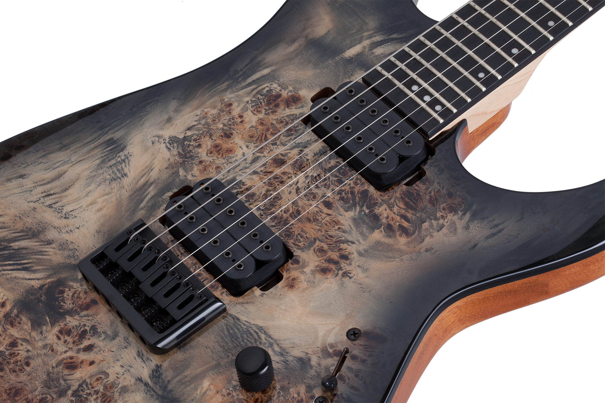 C-6 Pro E-Gitarre in Charcoal Burst