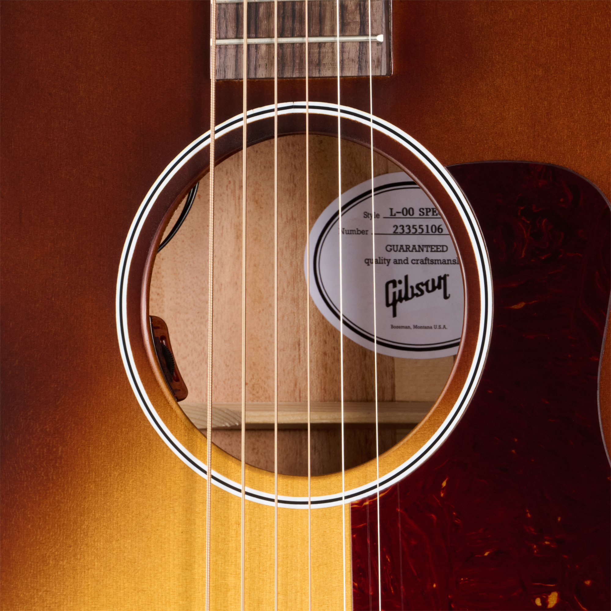 L-00 Special Satin Honey Burst