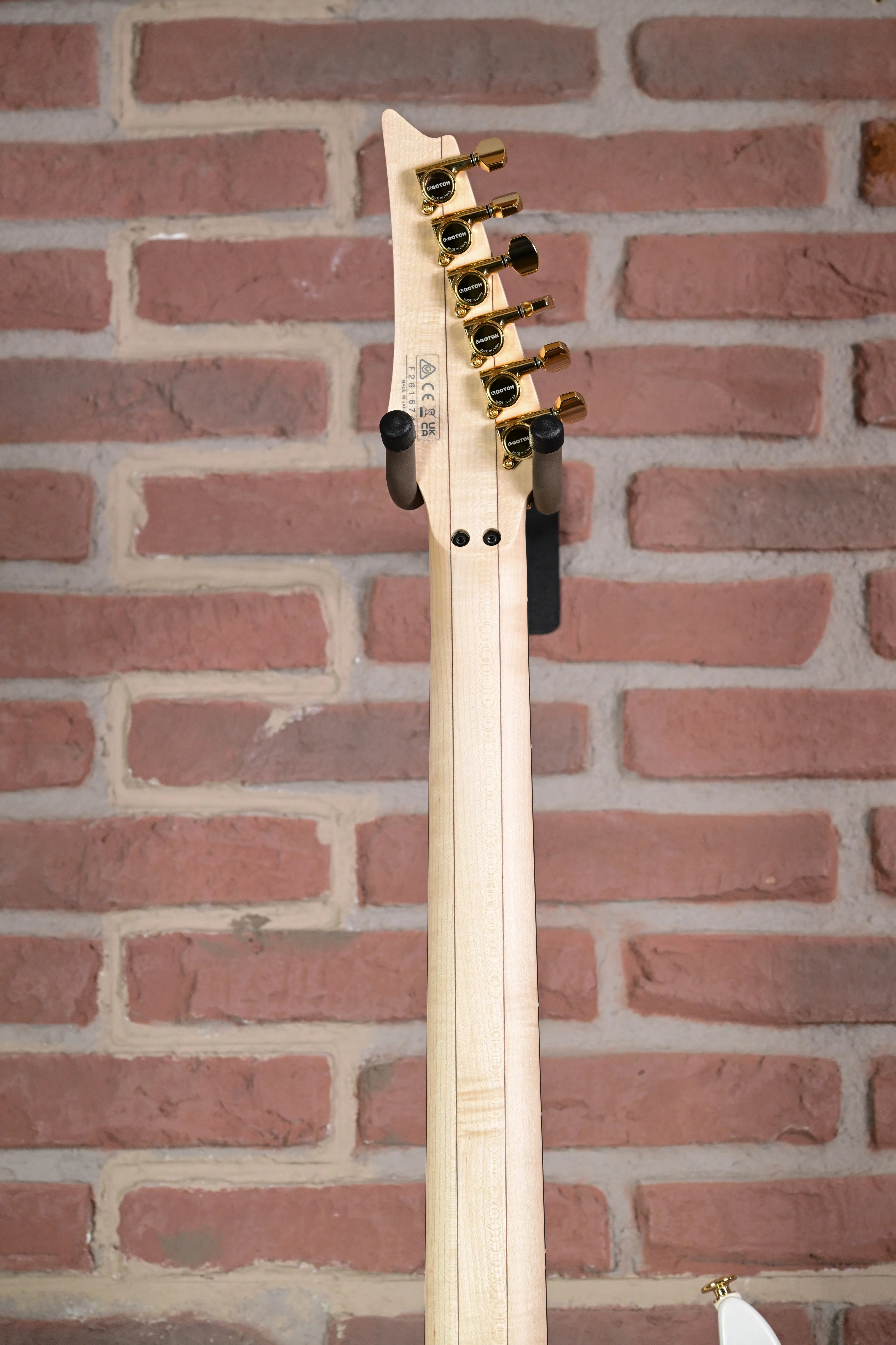 PIA3761-SLW Steve Vai Signature E-Gitarre Stallion White