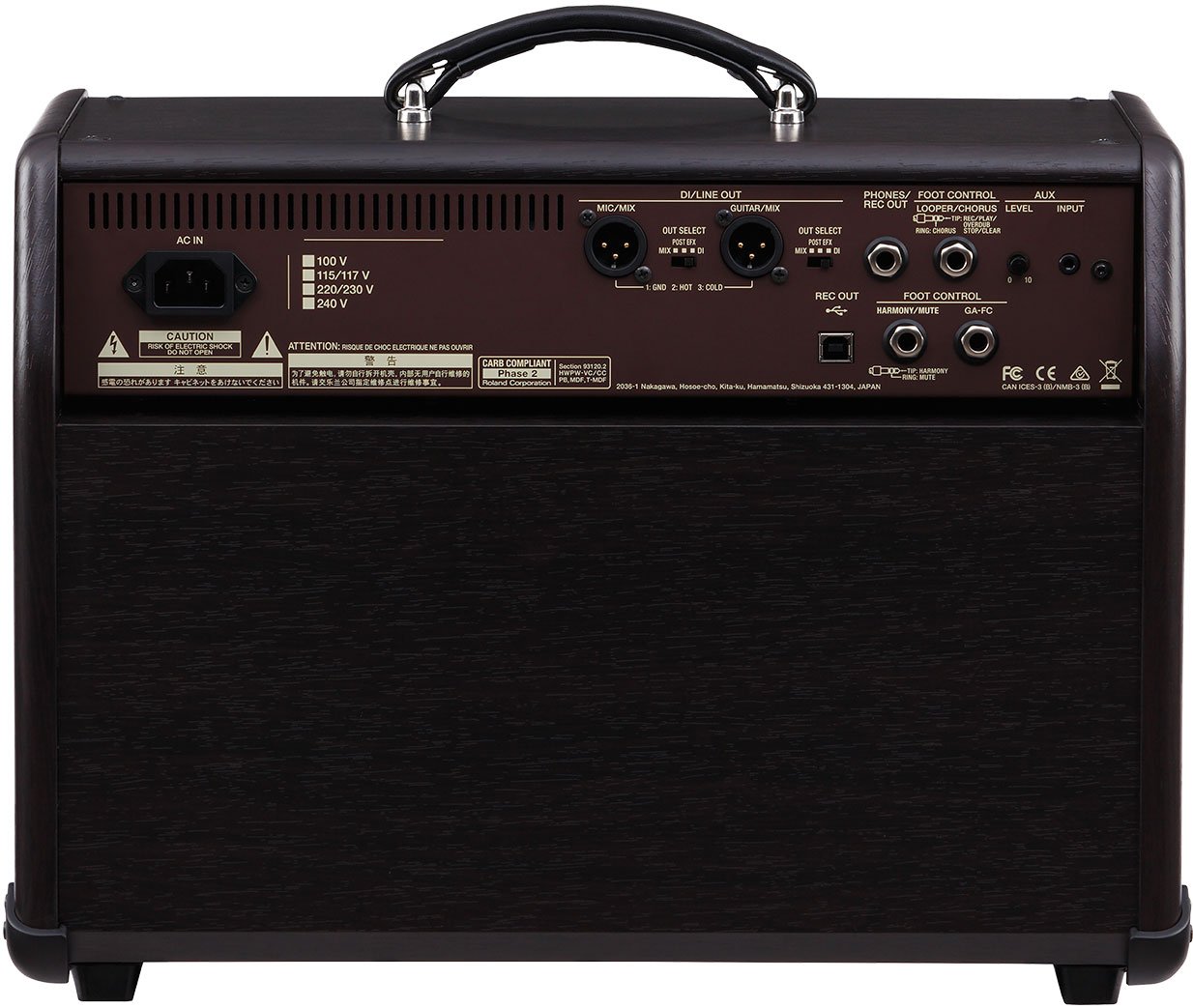 Acoustic Singer Pro Combo - 120 Watt