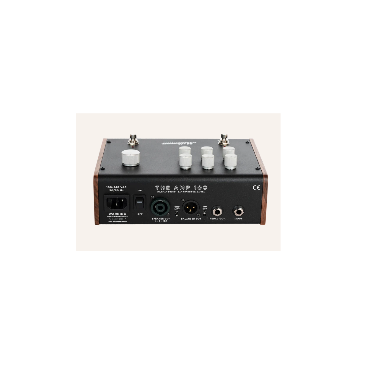 The Amp 100