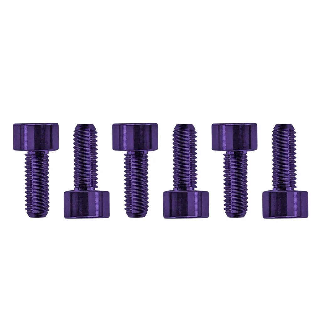 FROSMSPLP - Color Stainless Steel Saddle Mounting Screws (6 pcs), Purple