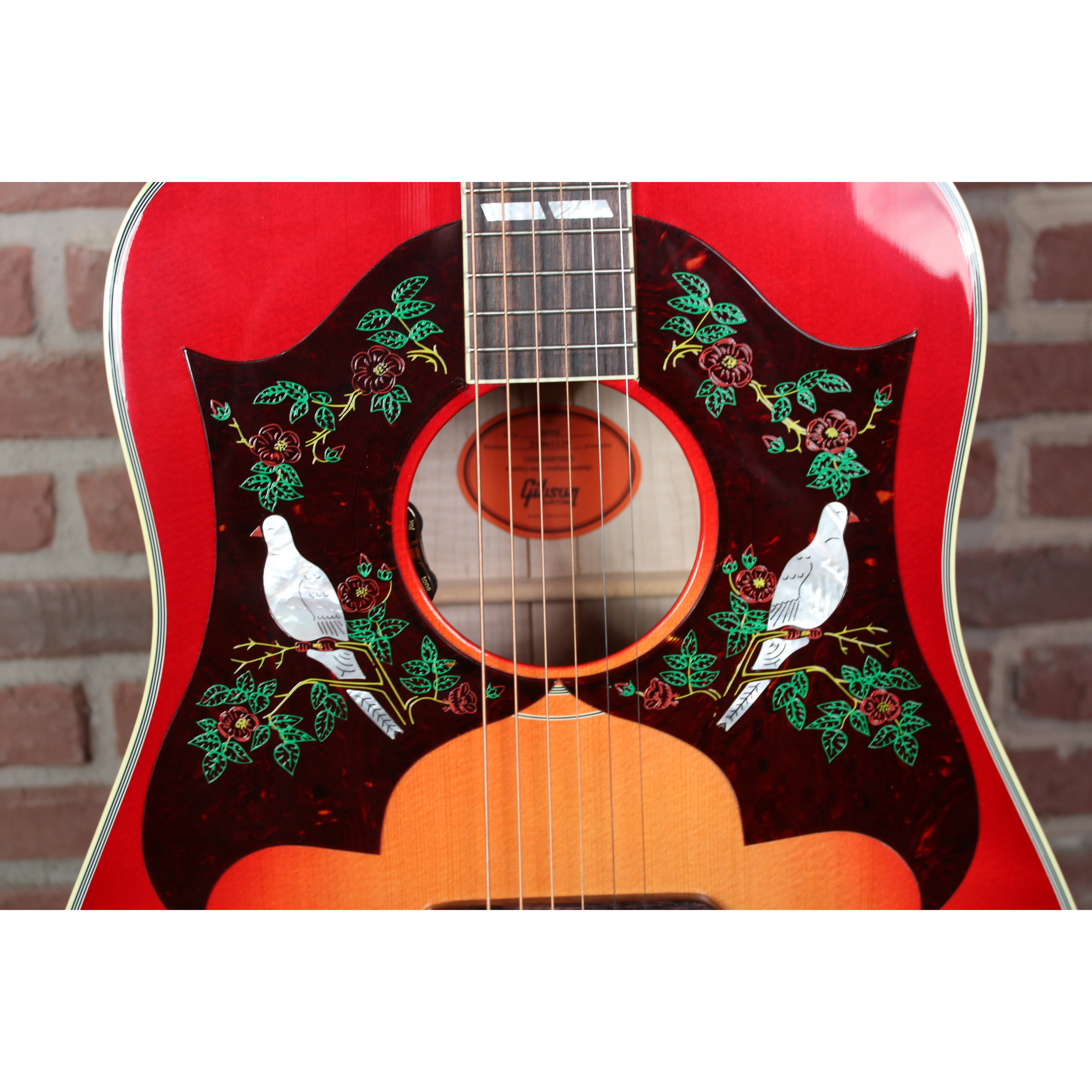  Gibson SG Dove Double Pickguard Nahaufnahme