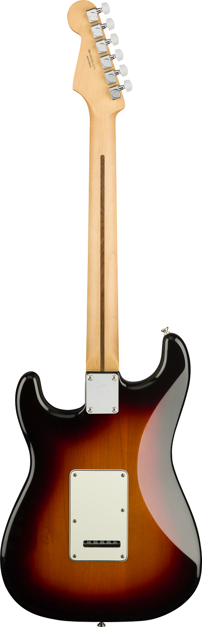 Player Stratocaster®, Pau Ferro Fingerboard, 3-Color Sunburst - E-Gitarre