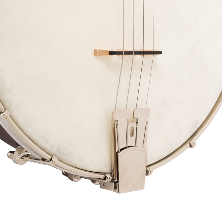Banjo, Trommelfell, Holzkorpus, Metallbeschläge, Saitenhalter