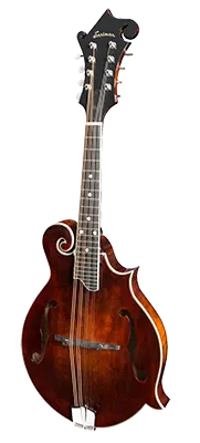 Mandoline, Holzkorpus, Sunburst, Saiteninstrument, Schwarzer Hals