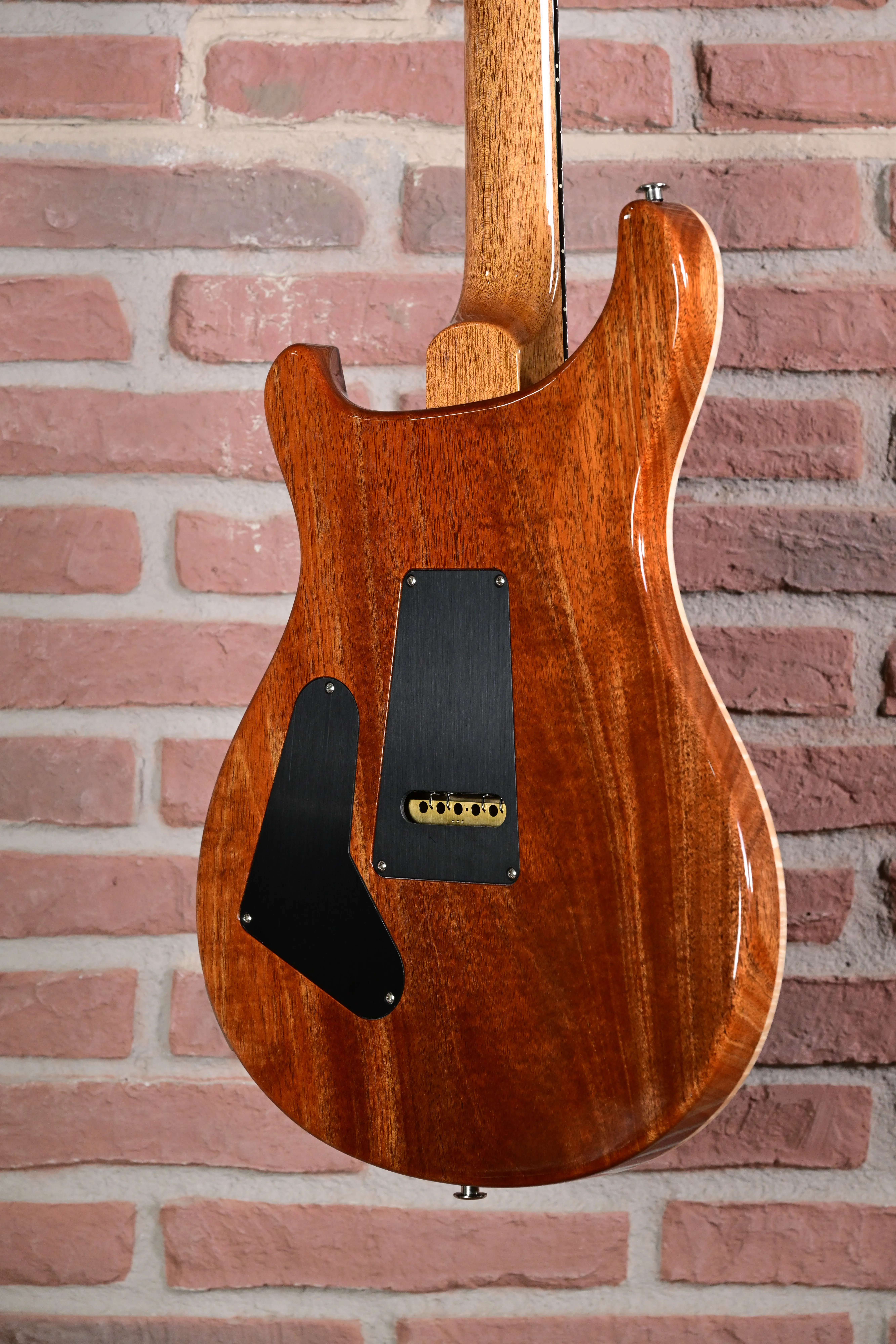 Custom 24 Birds of a Feather Limited Charcoal Microburst E-Gitarre