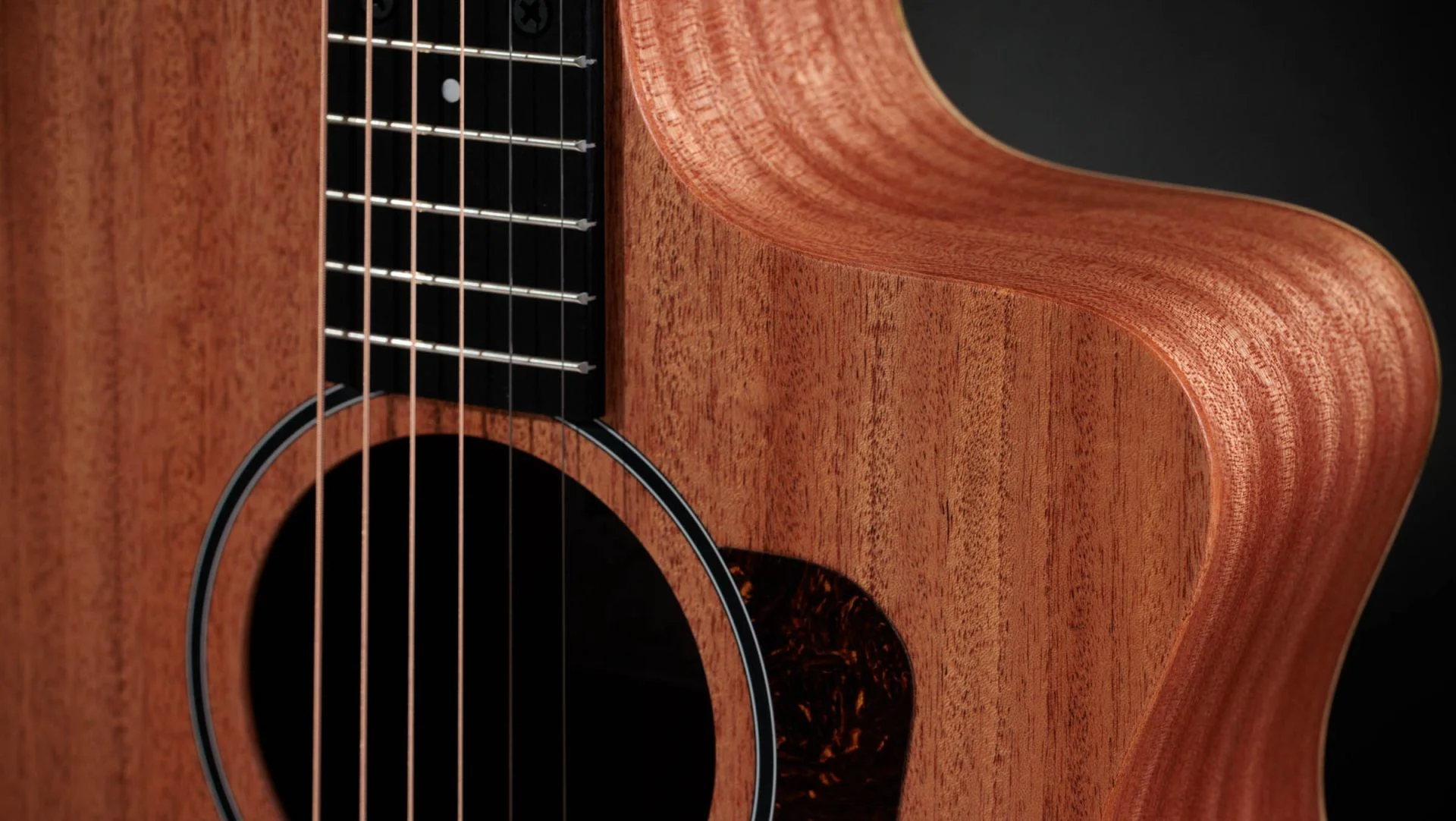 Taylor 24ce klassische Akustikgitarre Design