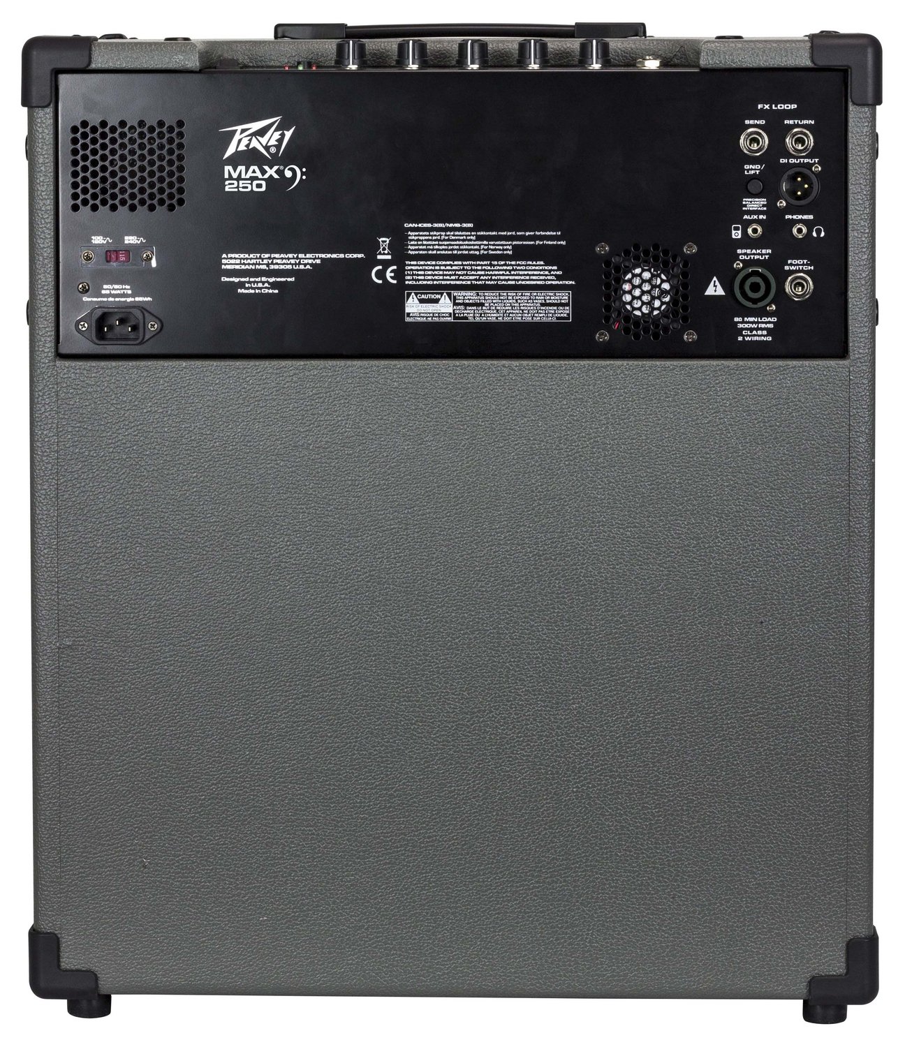 MAX 250 Bass Amp Combo