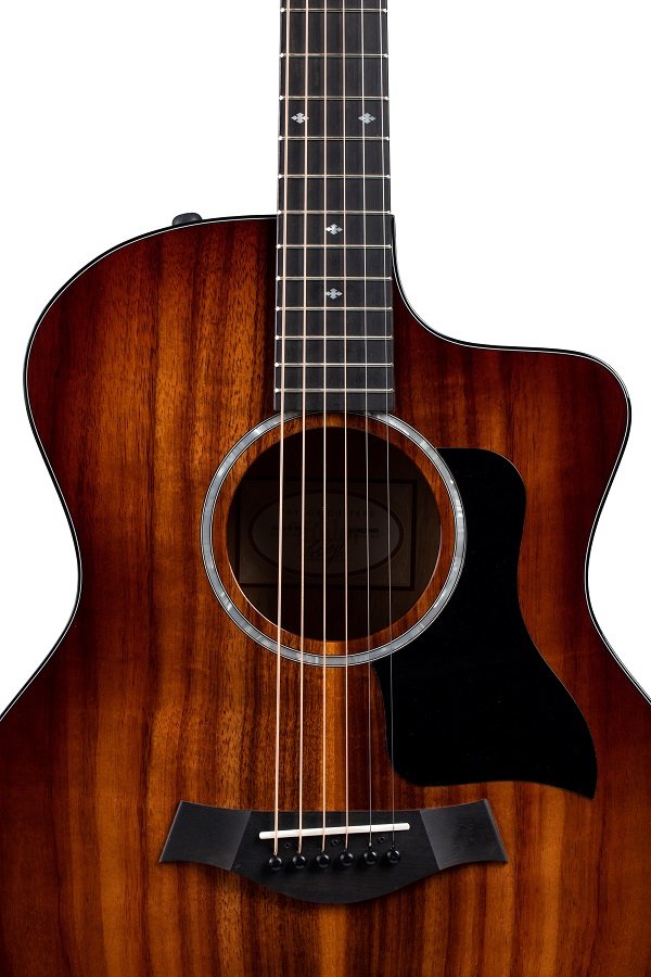 224ce-K DLX - Westerngitarre mit PU