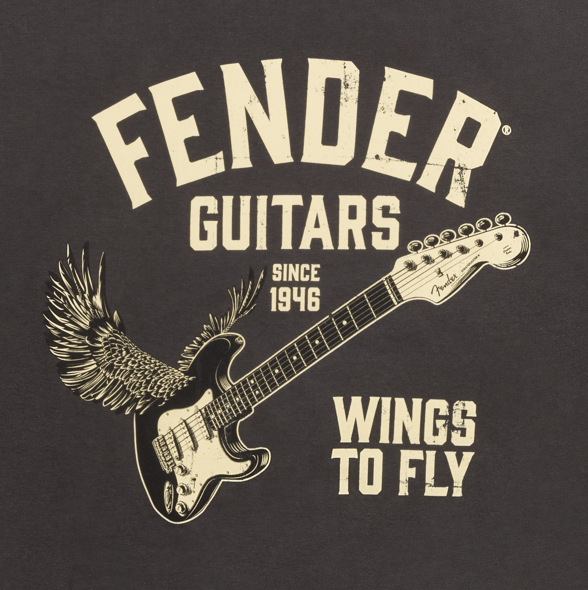 Wings To Fly T-Shirt, Vintage Black, XL