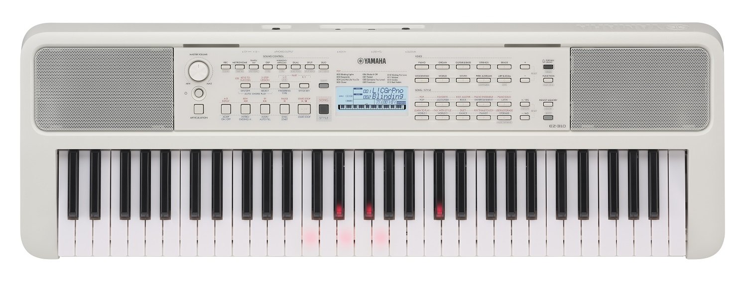 EZ-310 Leuchttasten-Keyboard