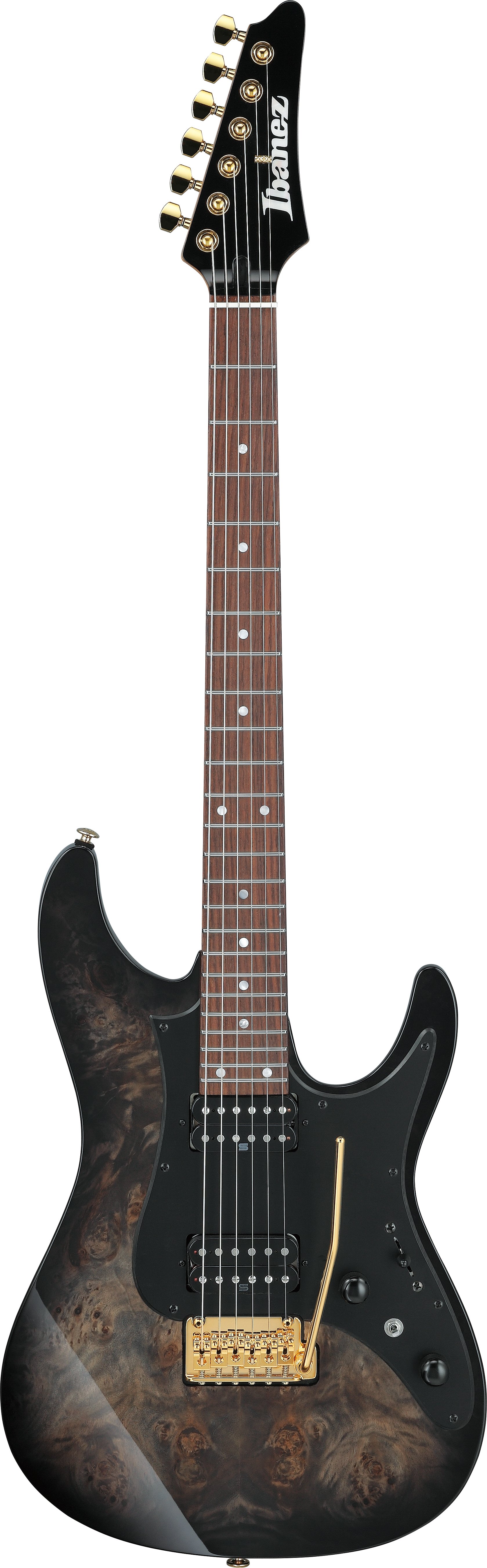 AZ41P1PB-TGB Premium AZ E-Gitarre Transparent Gray Burst