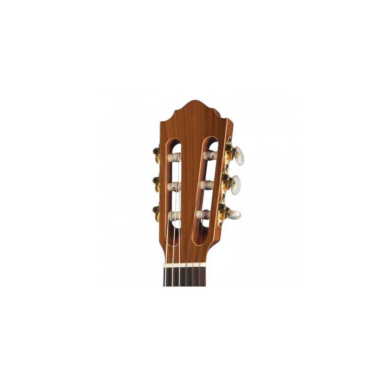 Greenline Serie HGL8 - Konzertgitarre